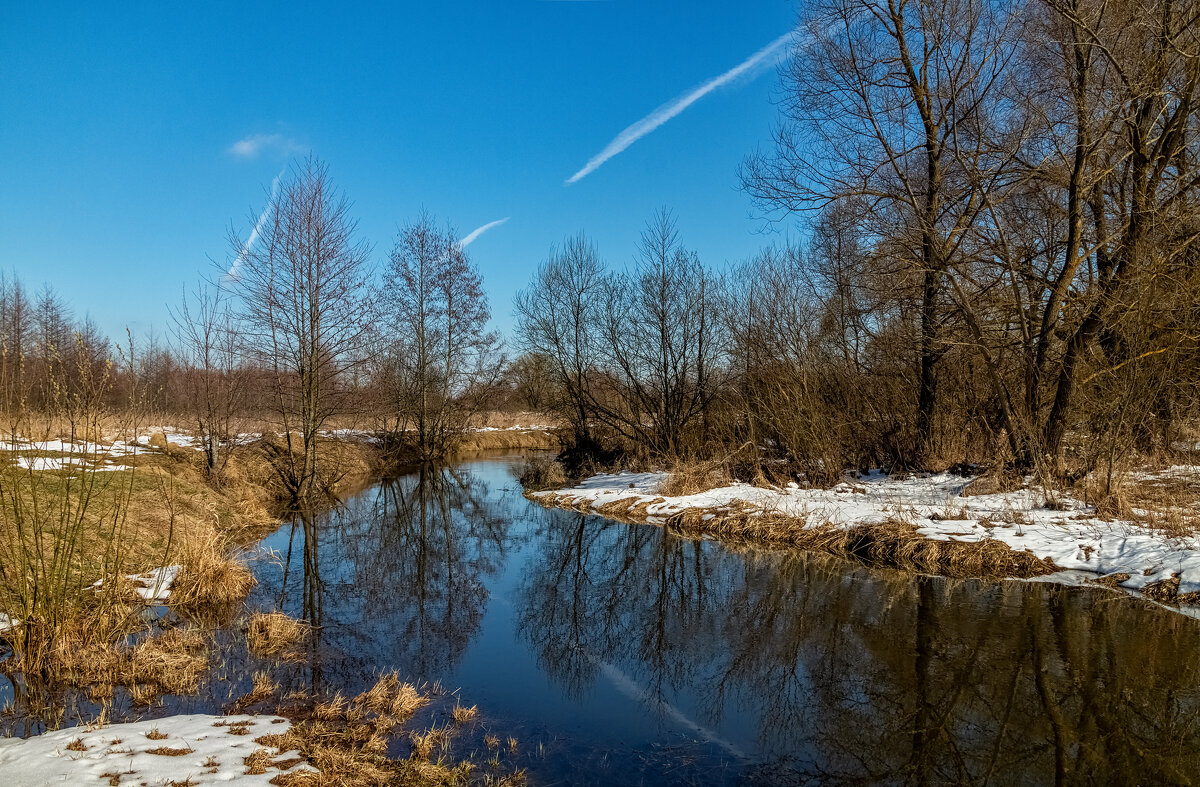 Вербное воскресенье 2025 году 4 - Андрей Дворников Вербное воскресенье 2025 году 4 - Андрей Дворников