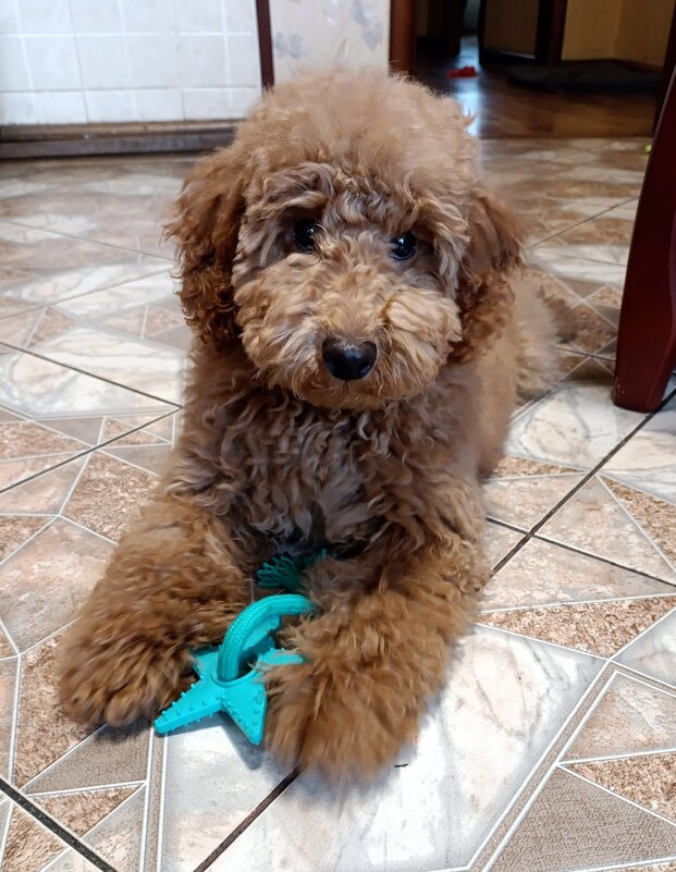 Филимон. - Ирина ***