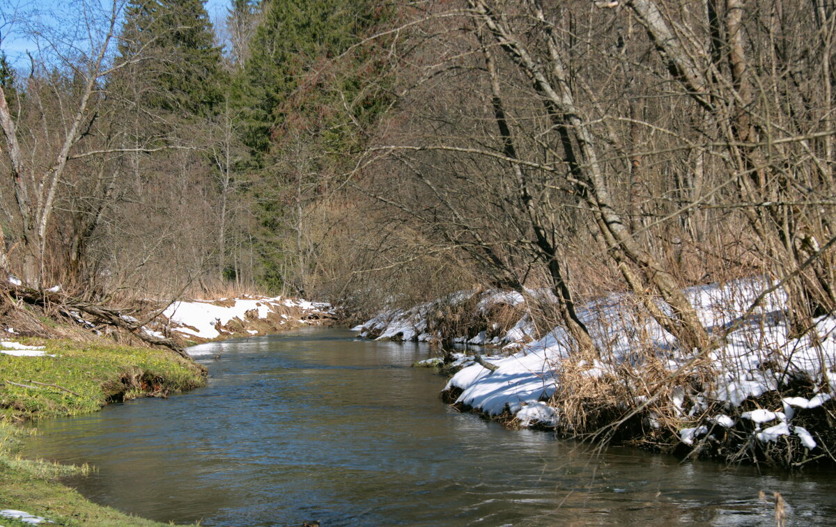 Берег левый , берег правый. - Маргарита ( Марта ) Дрожжина Берег левый , берег правый. - Маргарита ( Марта ) Дрожжина