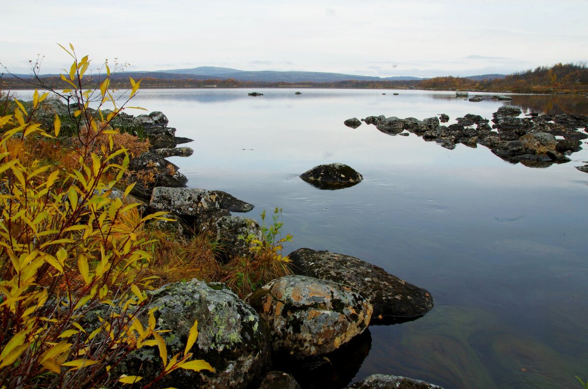 Озеро - Сергей Швечков