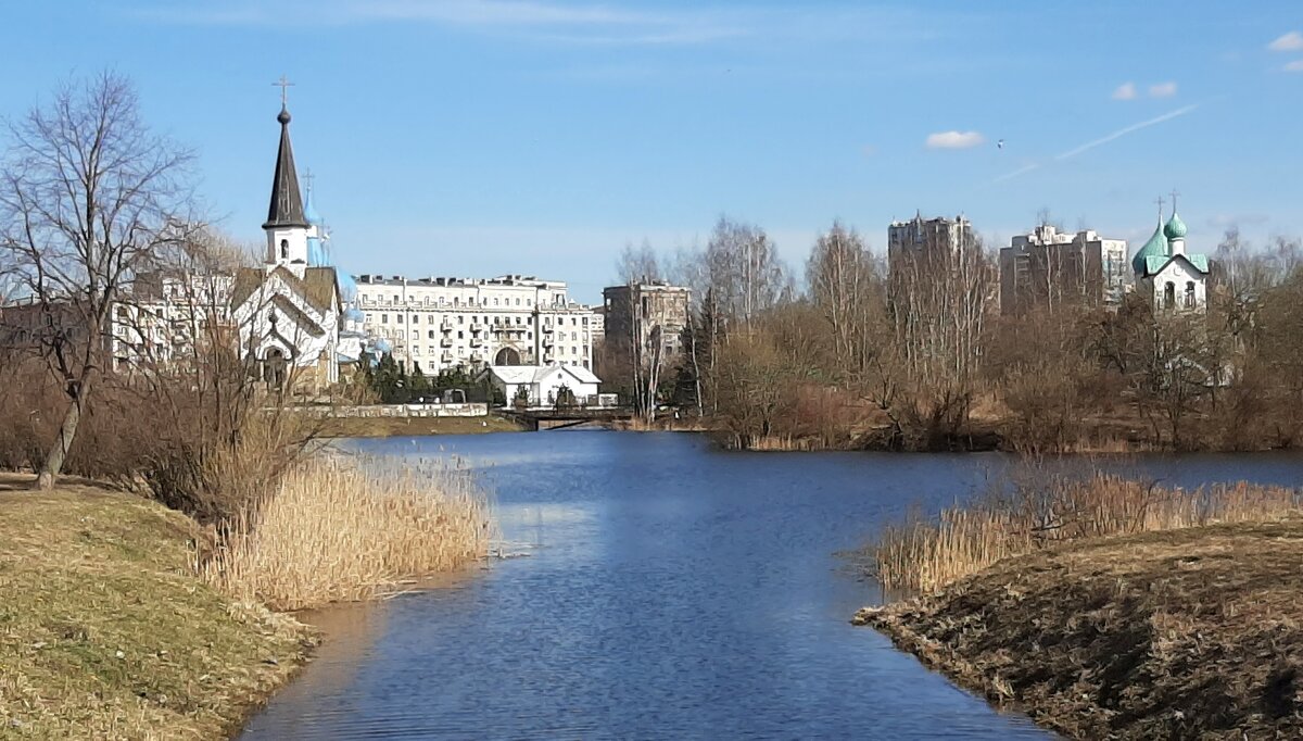 Пулковский парк - Наталья Герасимова Пулковский парк - Наталья Герасимова