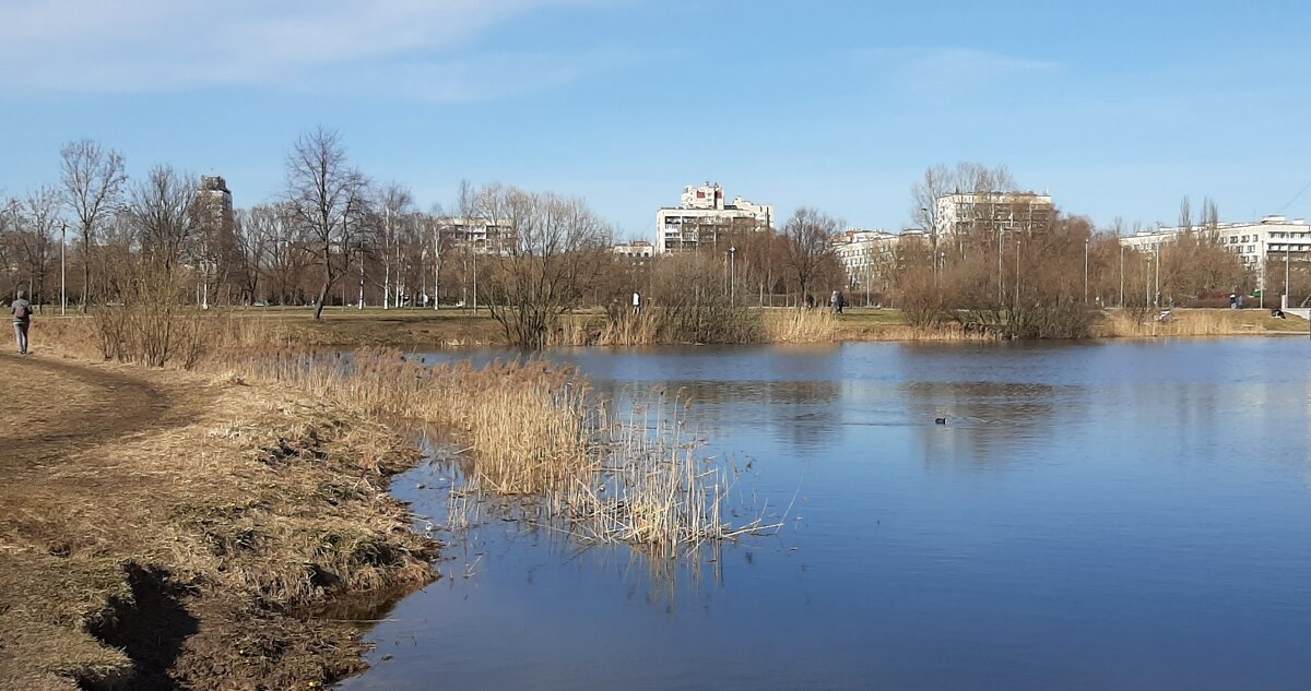 Пулковский парк. Апрель - Наталья Герасимова Пулковский парк. Апрель - Наталья Герасимова