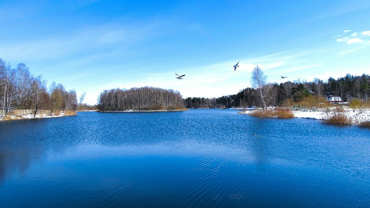 Смоленская область после снегопада (репортаж из поездок по области). - Милешкин Владимир Алексеевич Смоленская область после снегопада (репортаж из поездок по области). - Милешкин Владимир Алексеевич