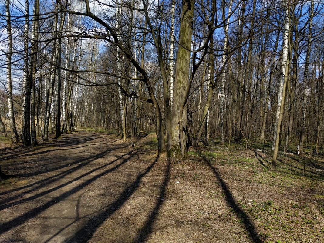 Мои апрельские тезисы - Андрей Лукьянов