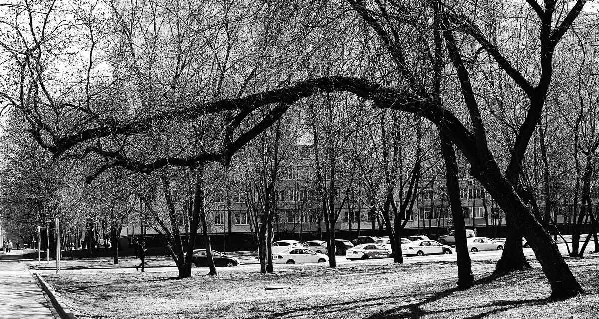 Горизонтальный рост. - Василий Палий Горизонтальный рост. - Василий Палий