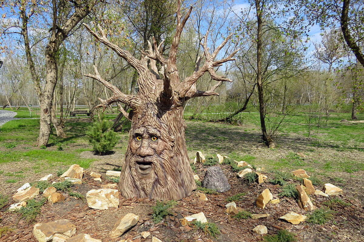 В сказочном лесу - Сеня Белгородский
