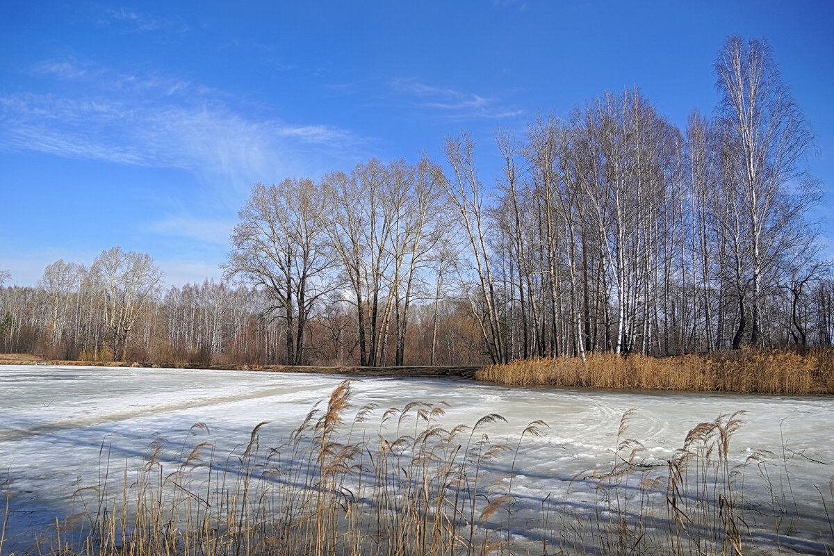 На озере - Галина Кан На озере - Галина Кан