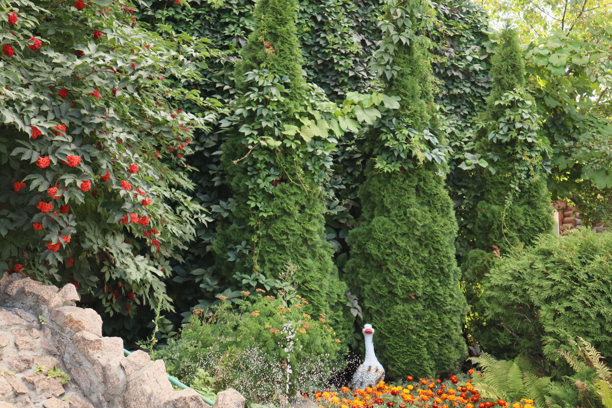 Фонтанчик - Дмитрий Петров