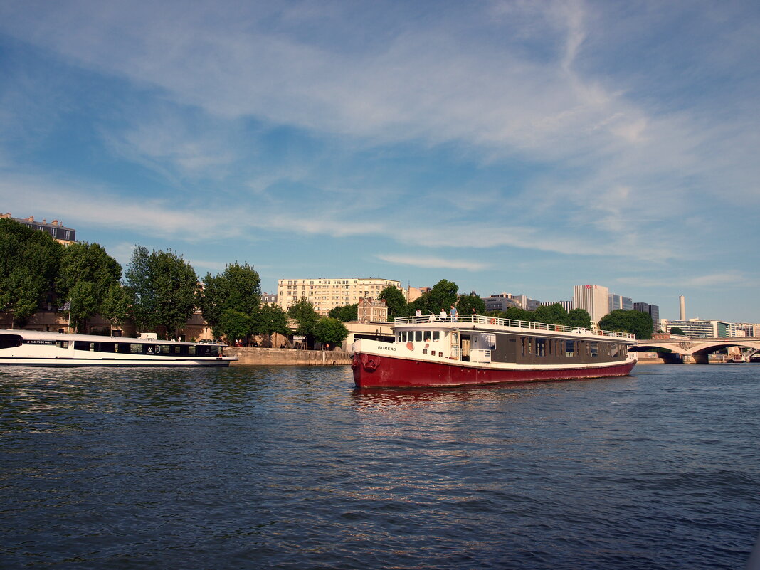 Париж. - Владимир Драгунский