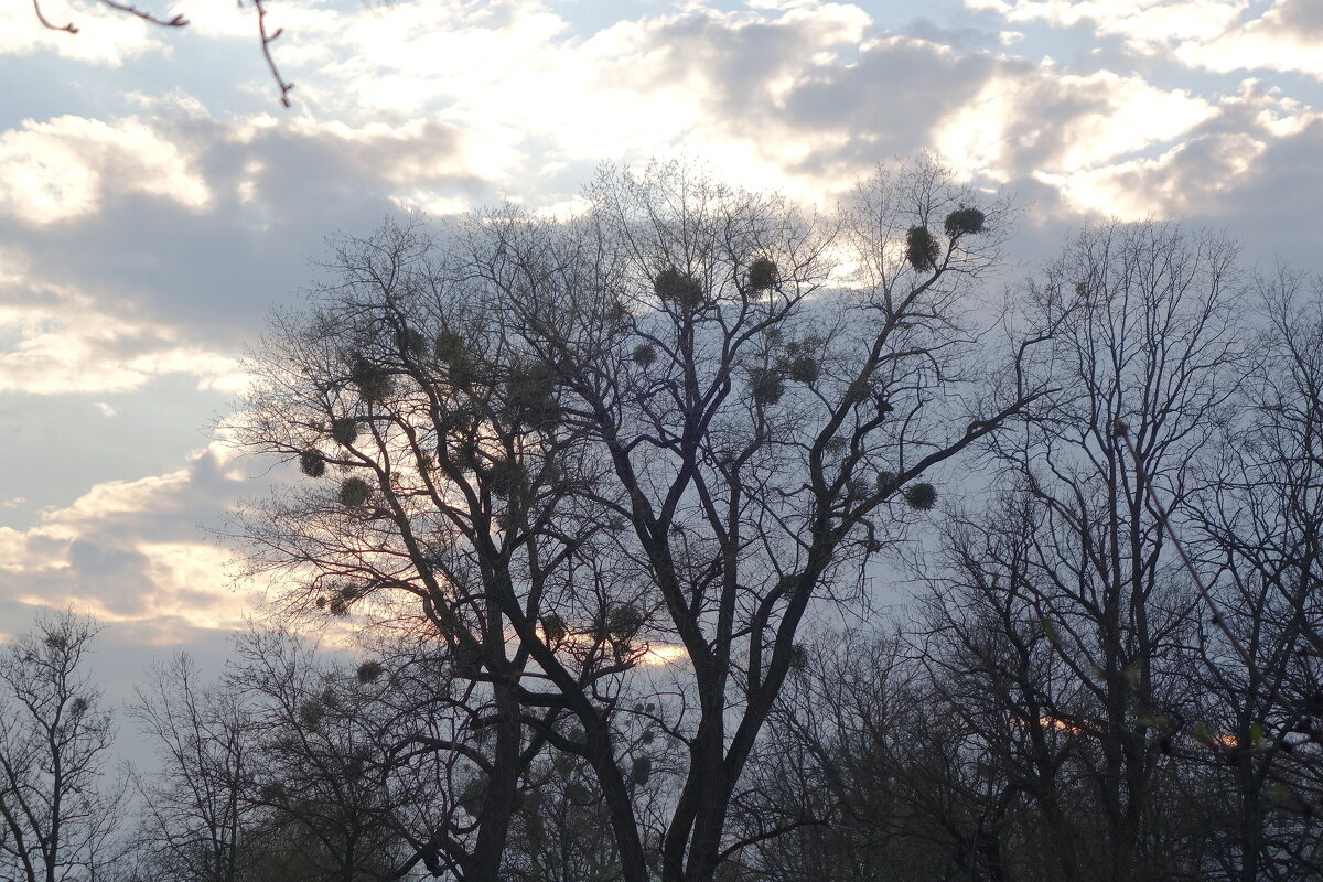 Вечерние зарисовки - Рита Симонова