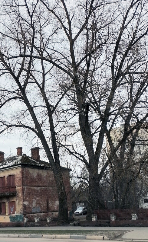 *** - Валентина Береснева