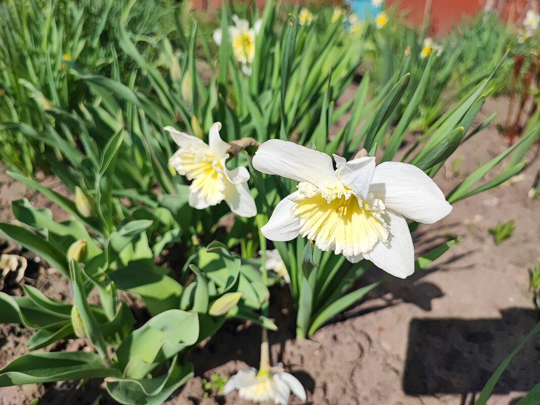 ... - Сергей Тимоновский