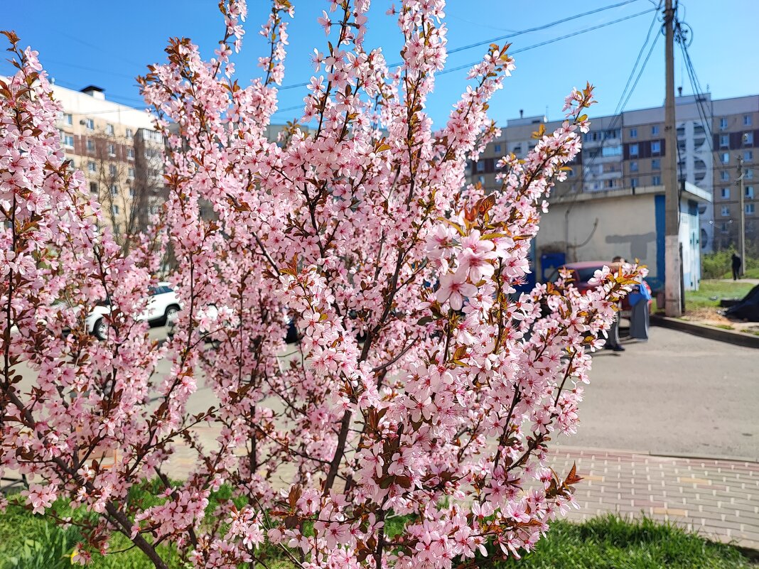 ... - Сергей Тимоновский ... - Сергей Тимоновский