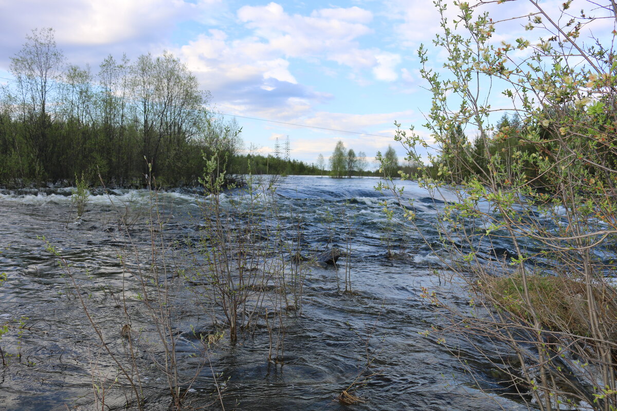 Разлив - Ольга 