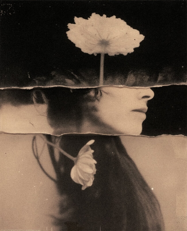 *** - Евгений Нодвиков