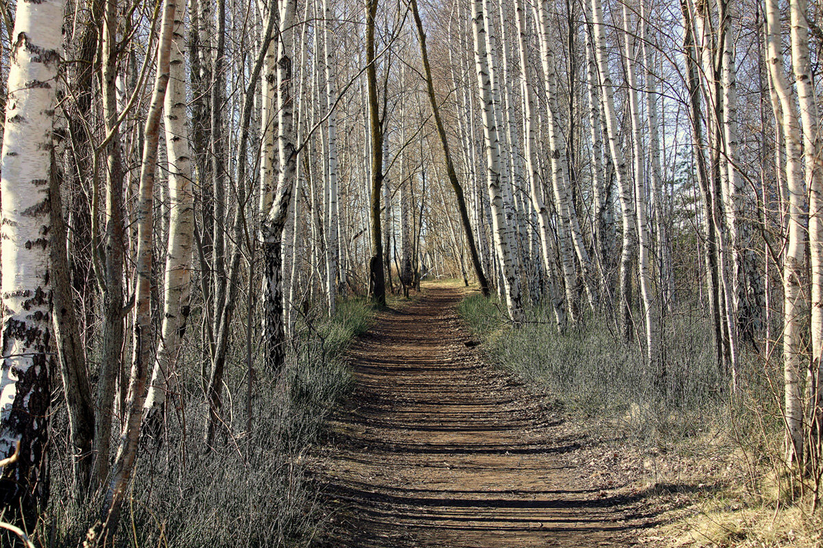 Весна пришла - Aleksandr Gal Весна пришла - Aleksandr Gal