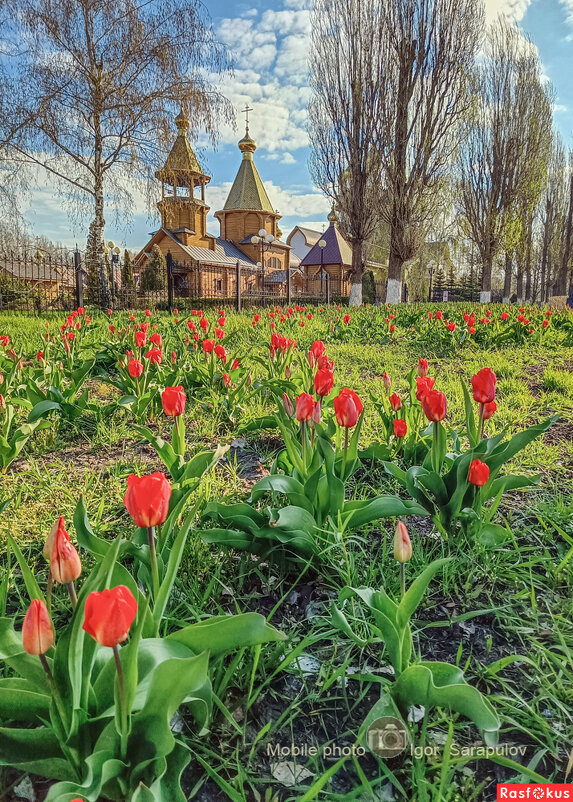 Весеннее утро - Игорь Сарапулов