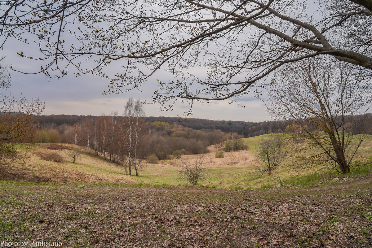 Апрель в Царицыно... - Владимир Жданов
