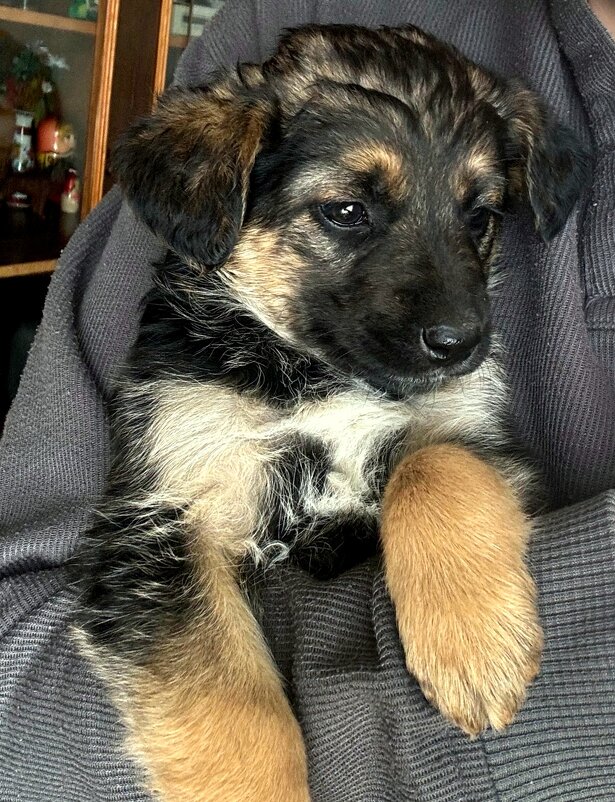 В надёжных руках. - nadyasilyuk Вознюк