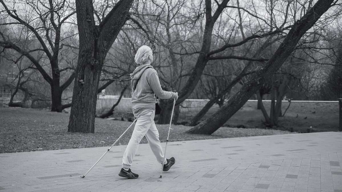 Прогулки в Весеннем Парке - юрий поляков Прогулки в Весеннем Парке - юрий поляков