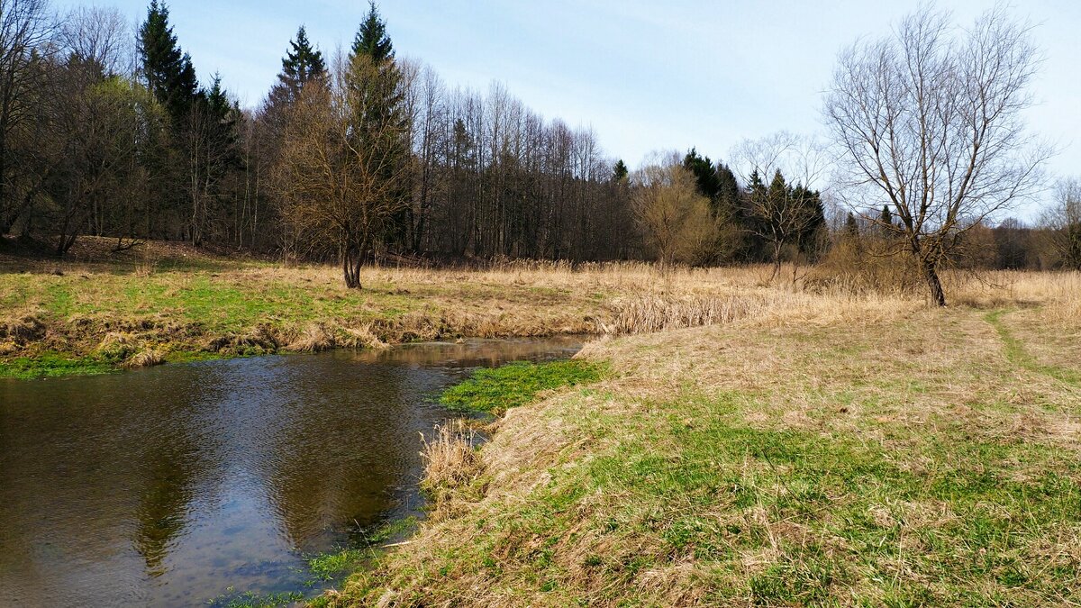 Весна - апрель - Милешкин Владимир Алексеевич 
