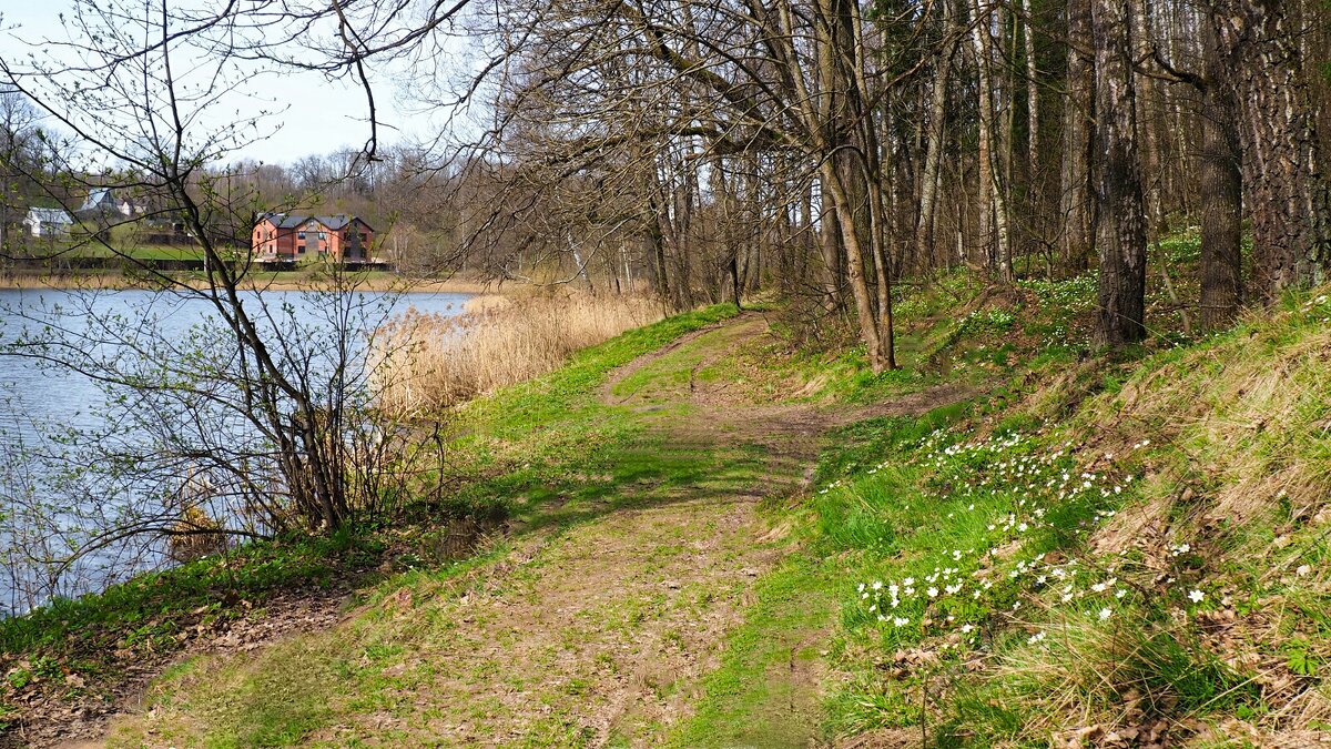 Тепло вернулось на Смоленщину. - Милешкин Владимир Алексеевич Тепло вернулось на Смоленщину. - Милешкин Владимир Алексеевич