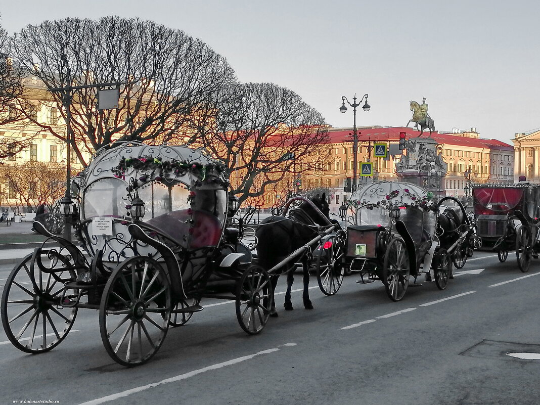 Дорожные пробки в Питере - Игорь Корф Дорожные пробки в Питере - Игорь Корф