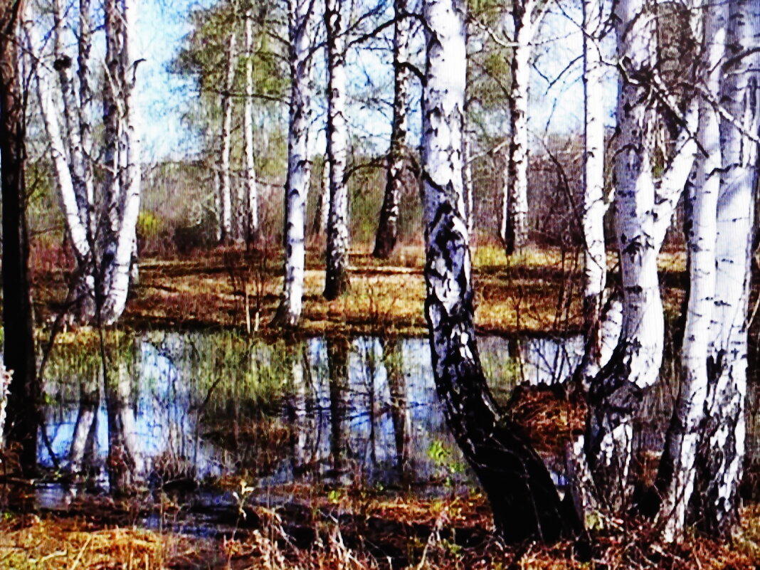 Красота апреля - Людмила Смородинская