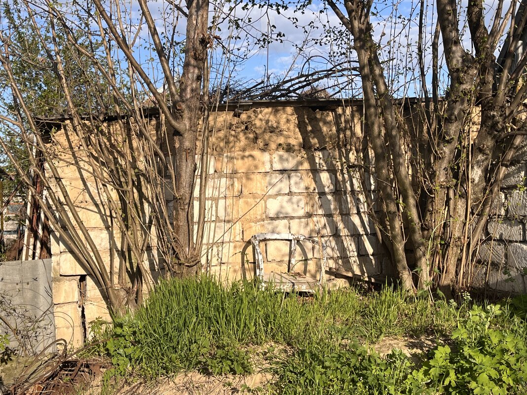 Весенний трон - ___K_O_T___ <3