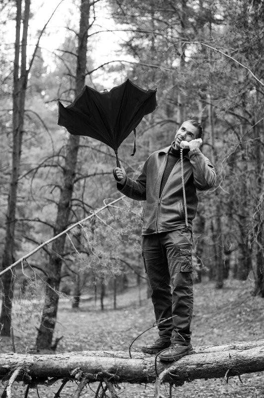 Calling a friend.. - Римский Шершень Hornet Calling a friend.. - Римский Шершень Hornet