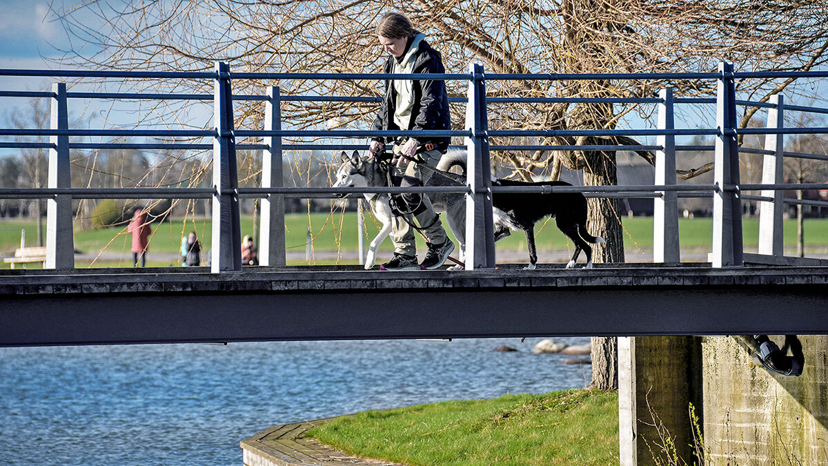 Зато на свидании никто не обидет - Alexandеr P