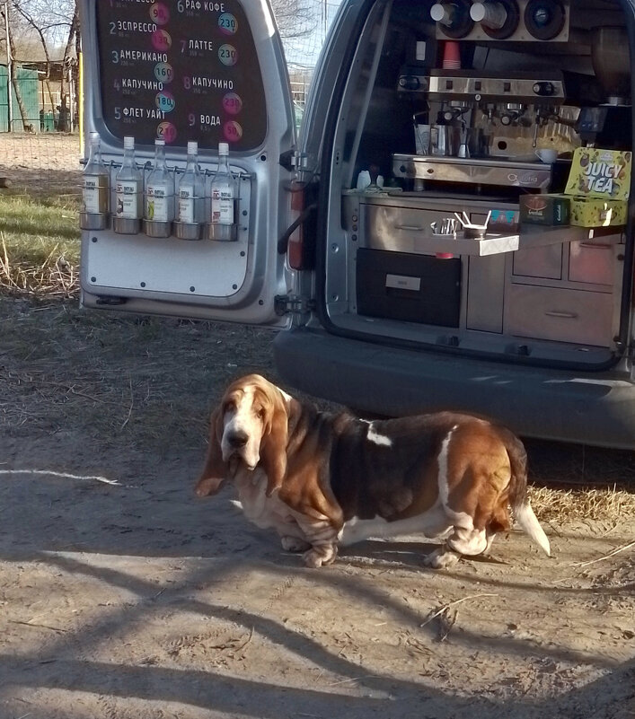 *** - Валентина Береснева *** - Валентина Береснева