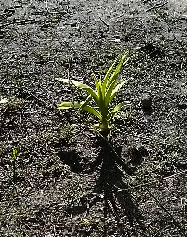 *** - Валентина Береснева