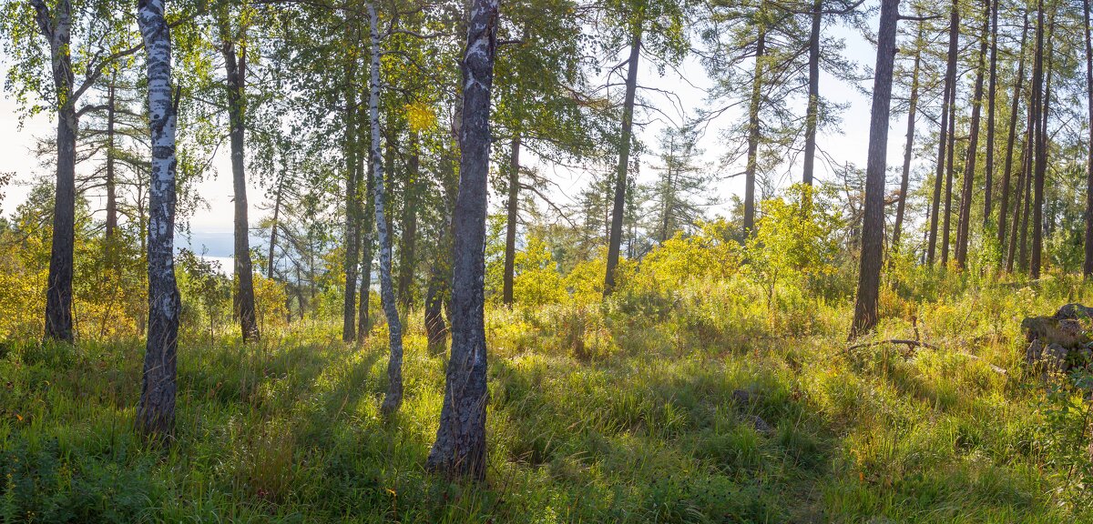 Летнее утро на перевале. Ильменский хребет. - Алексей Трухин Летнее утро на перевале. Ильменский хребет. - Алексей Трухин