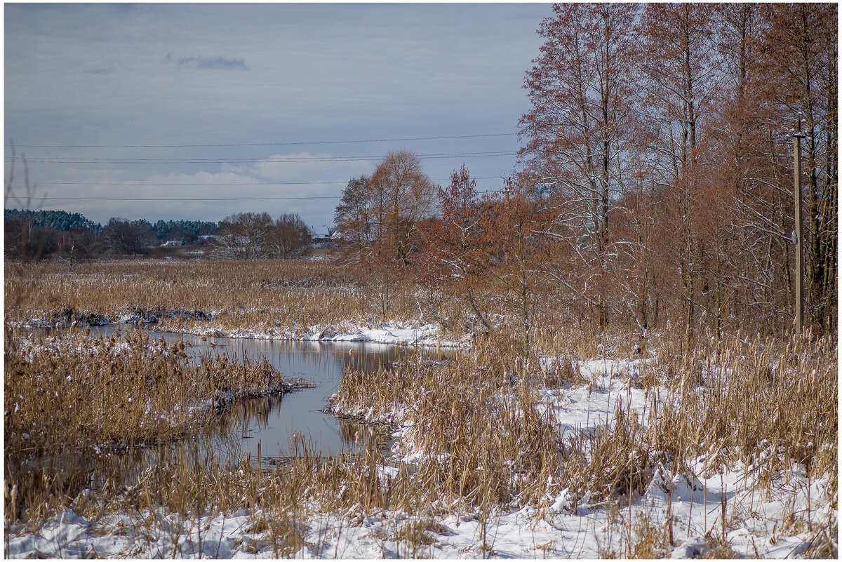 Холодный Апрель..... - Sergey (Apg) Холодный Апрель..... - Sergey (Apg)