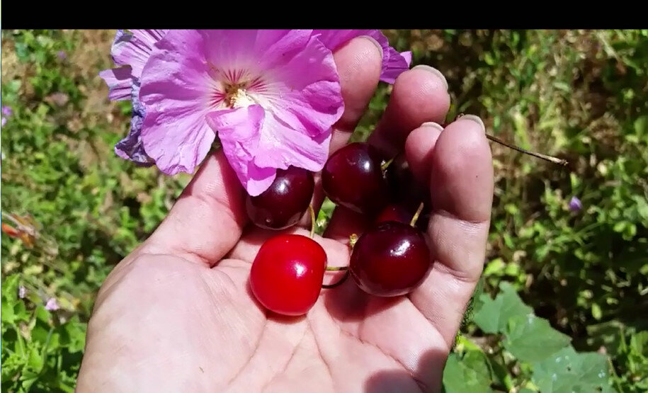 111 (4) - СТРЕН 