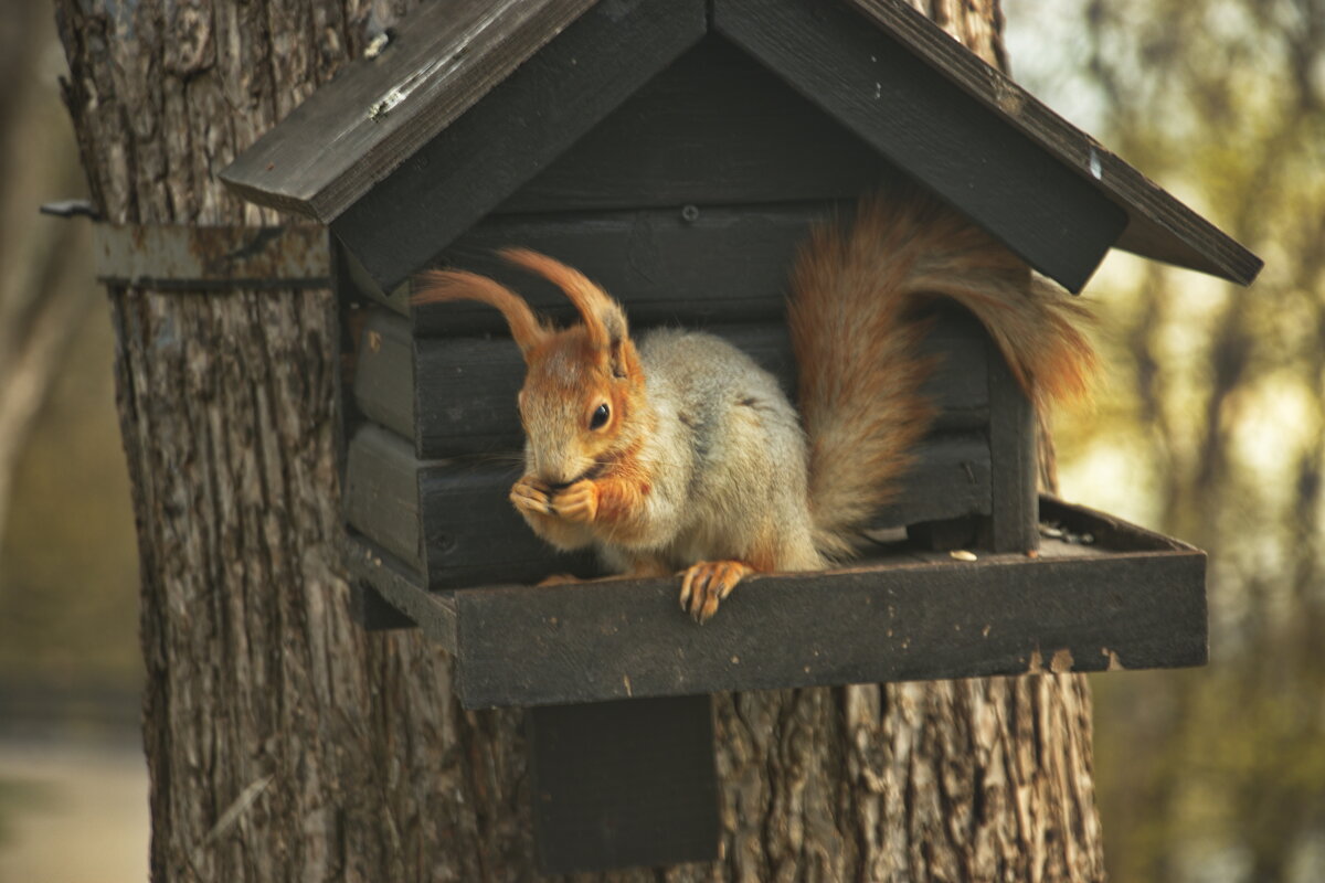 Как вкусно - Владимир Зырянов Как вкусно - Владимир Зырянов