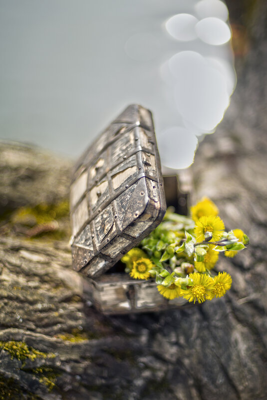 Подарочек - sorovey Sol Подарочек - sorovey Sol