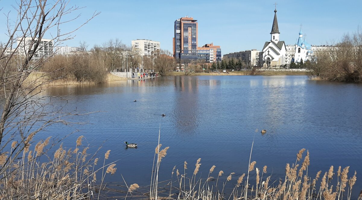 Пулковский парк - Наталья Герасимова