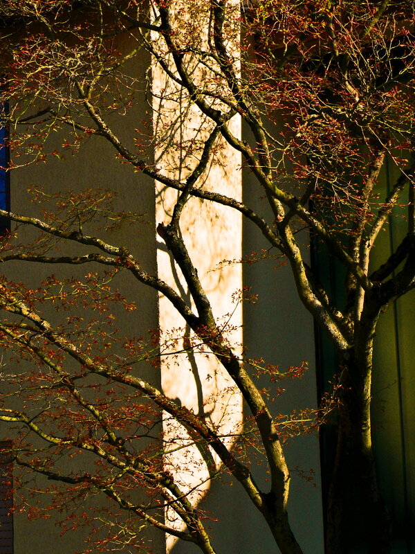 Весенние зарисовки 87 - Алексей Кузнецов