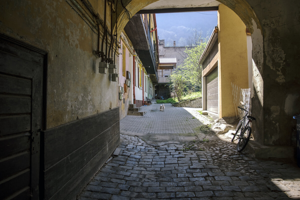 из Румынского альбома - Александр Липовецкий