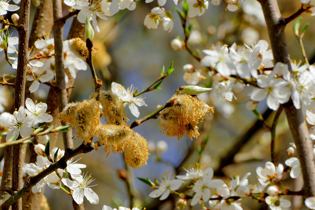 из снятого сегодня 2 - Александр Прокудин