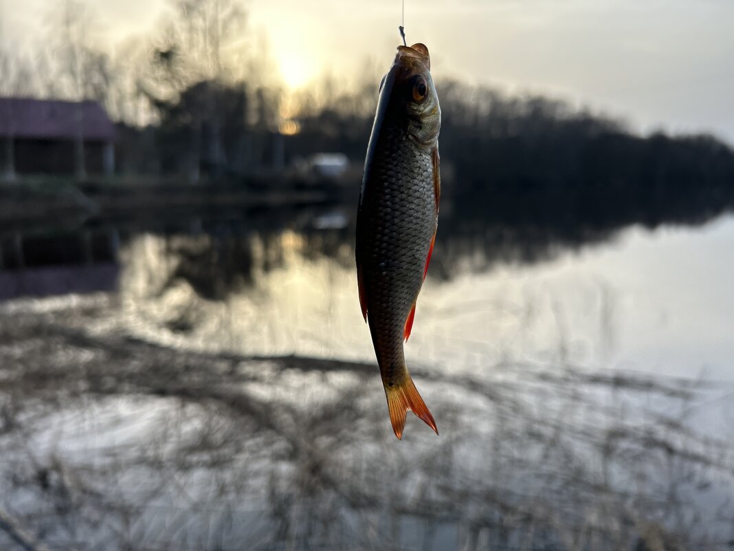 Ловись рыбка большая и маленькая - Дмитрий Иванов
