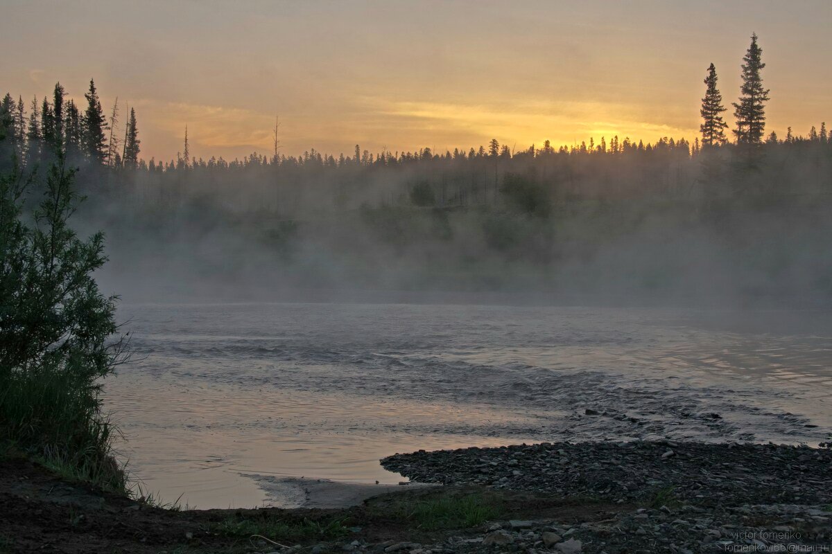 Зорька утренняя. - Виктор Фоменко