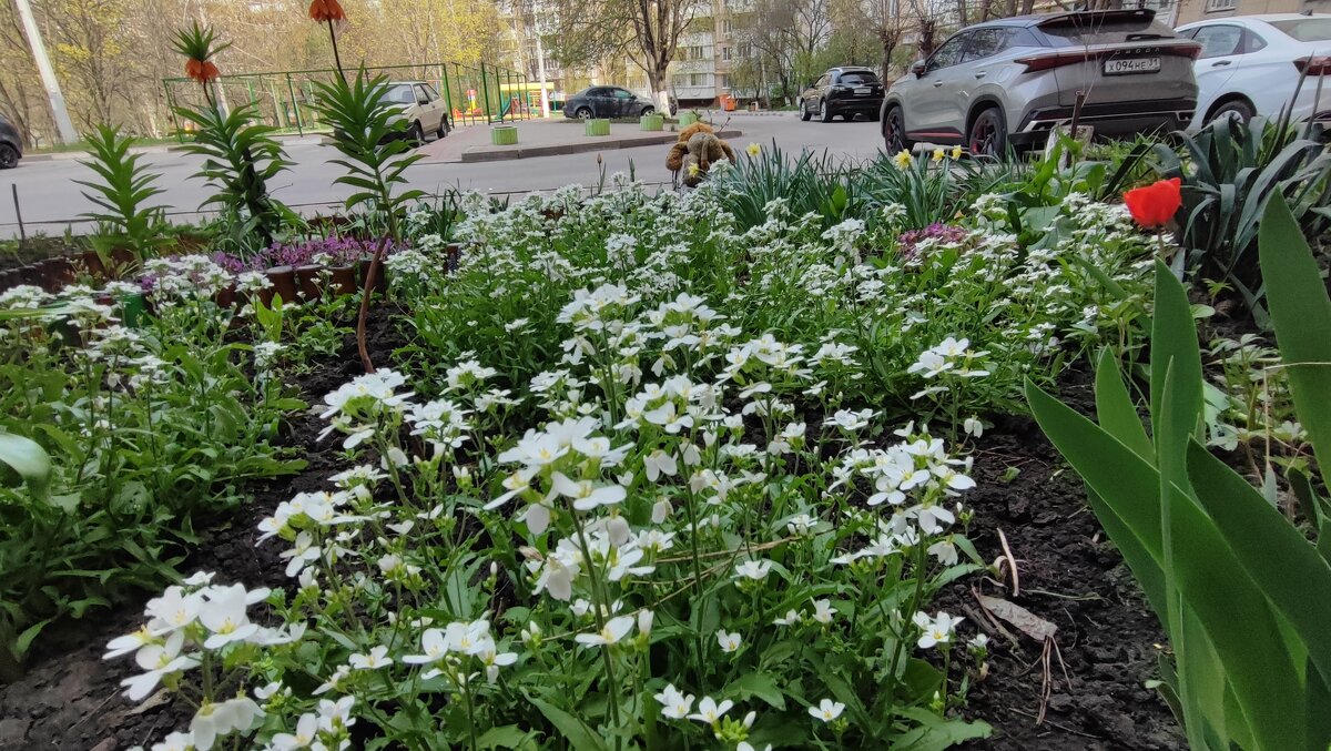 ... - Сергей Тимоновский ... - Сергей Тимоновский
