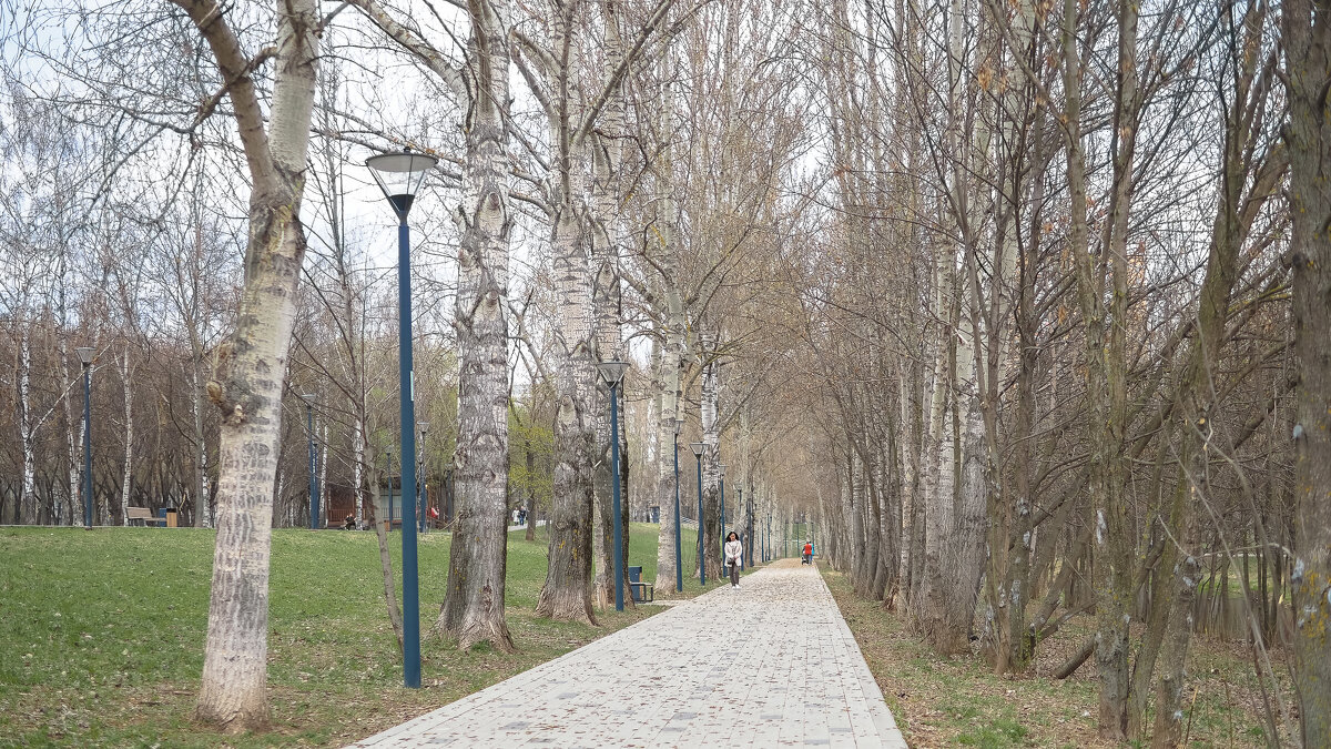 Прогулки в весеннем парке - юрий поляков Прогулки в весеннем парке - юрий поляков