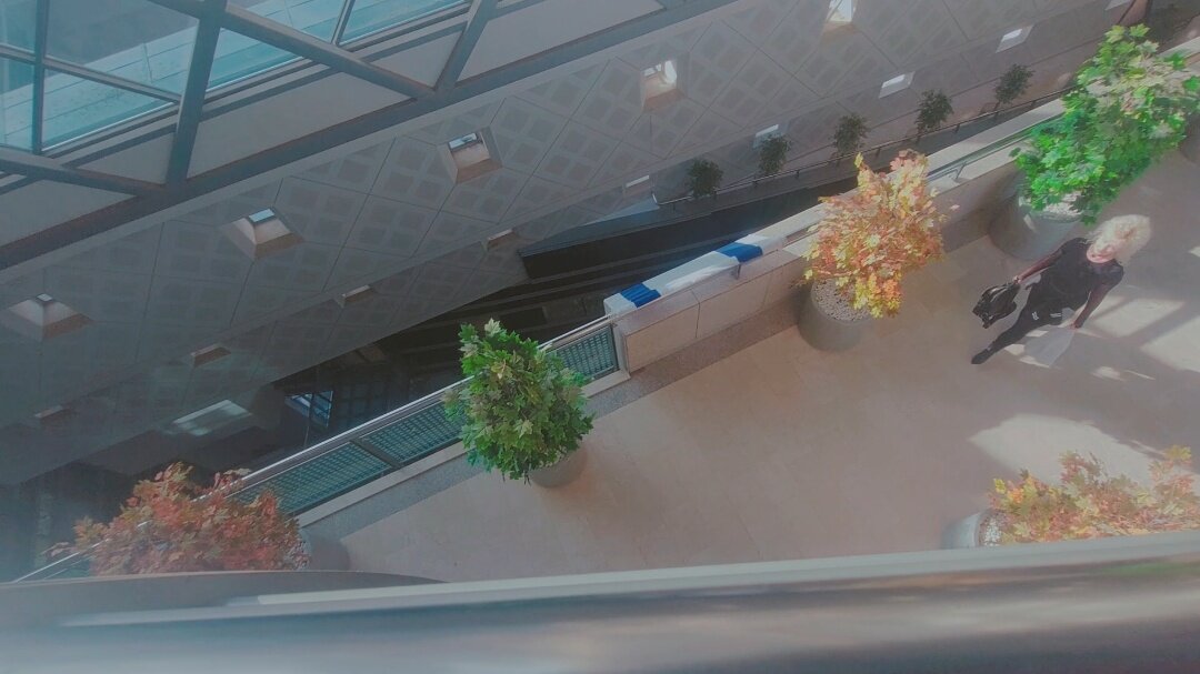 12  КЛОС (1003) - CLOSE WAYS ALL