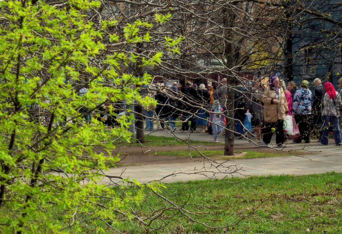 День покоя — и день хлопот. - Татьяна Помогалова День покоя — и день хлопот. - Татьяна Помогалова
