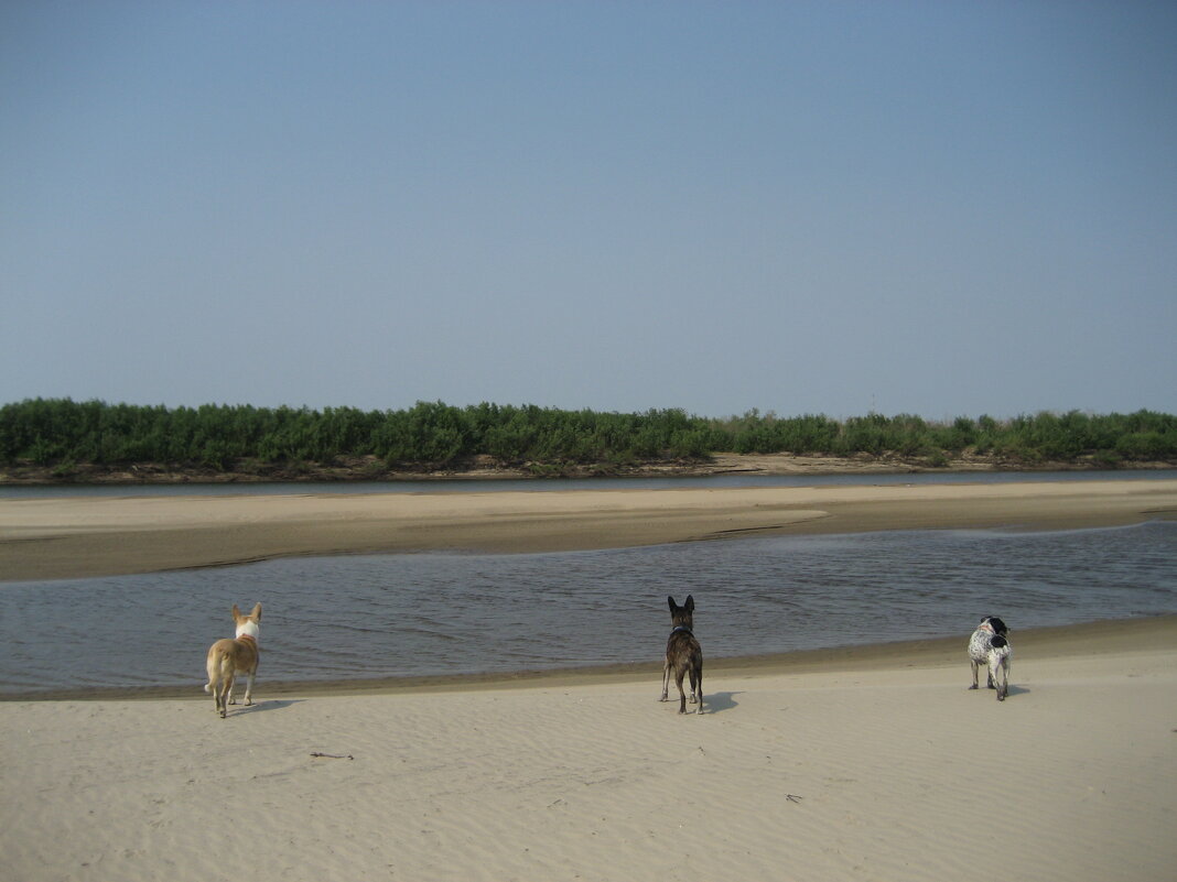 На протоке - Anna Ivanova На протоке - Anna Ivanova