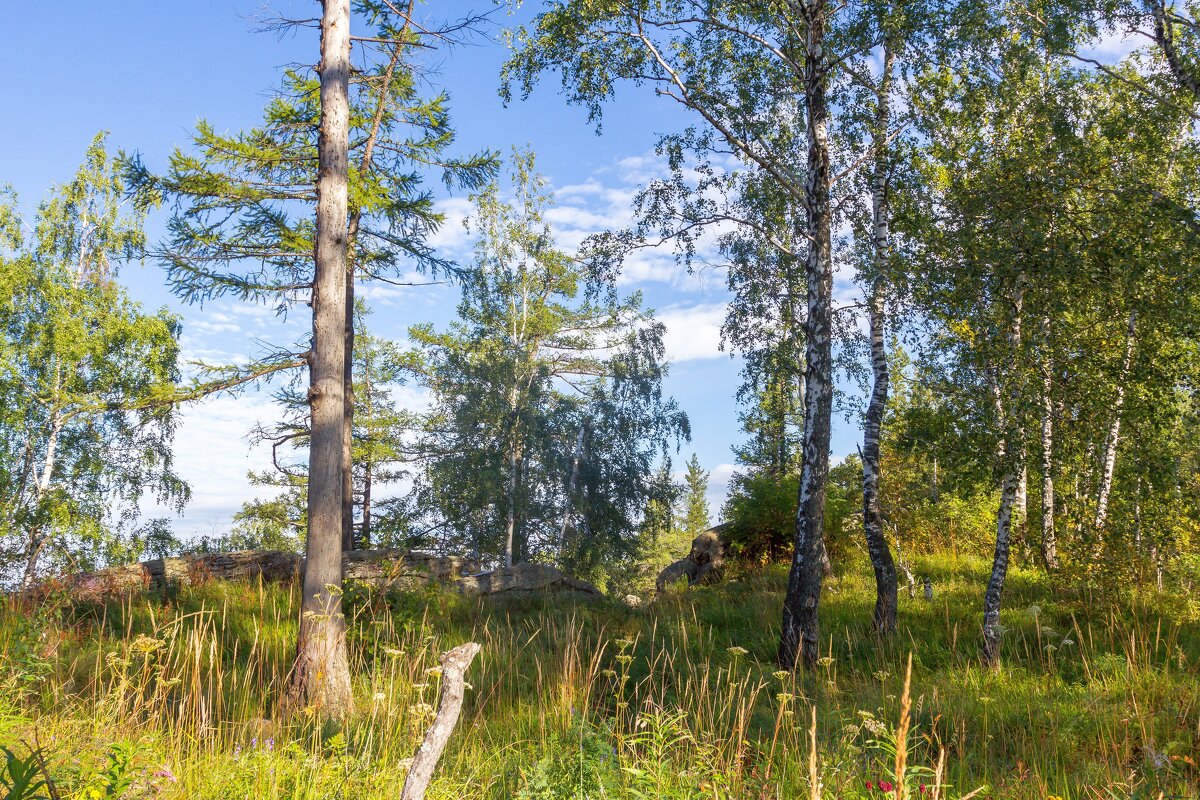 Летнее утро на перевале. Ильменский хребет. - Алексей Трухин